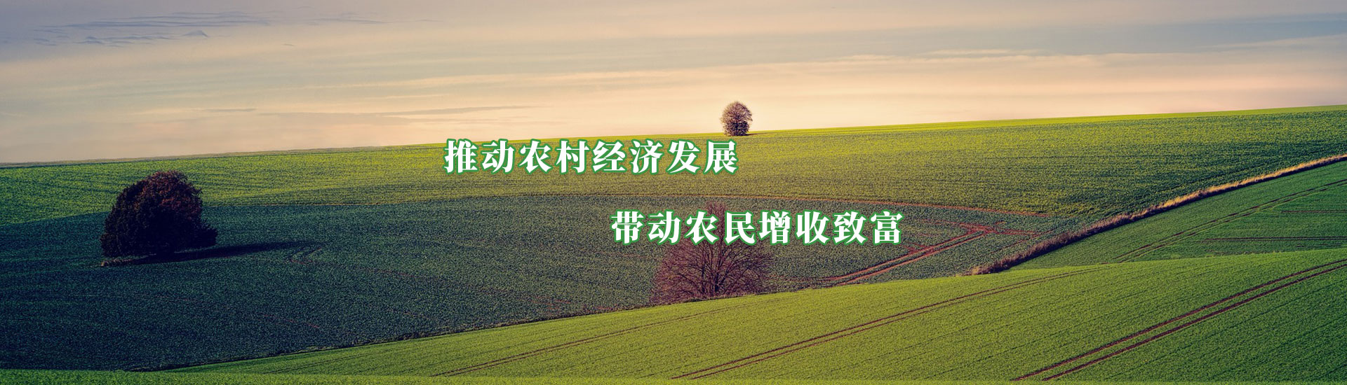 中国·5657威尼斯(股份)有限公司-官方网站