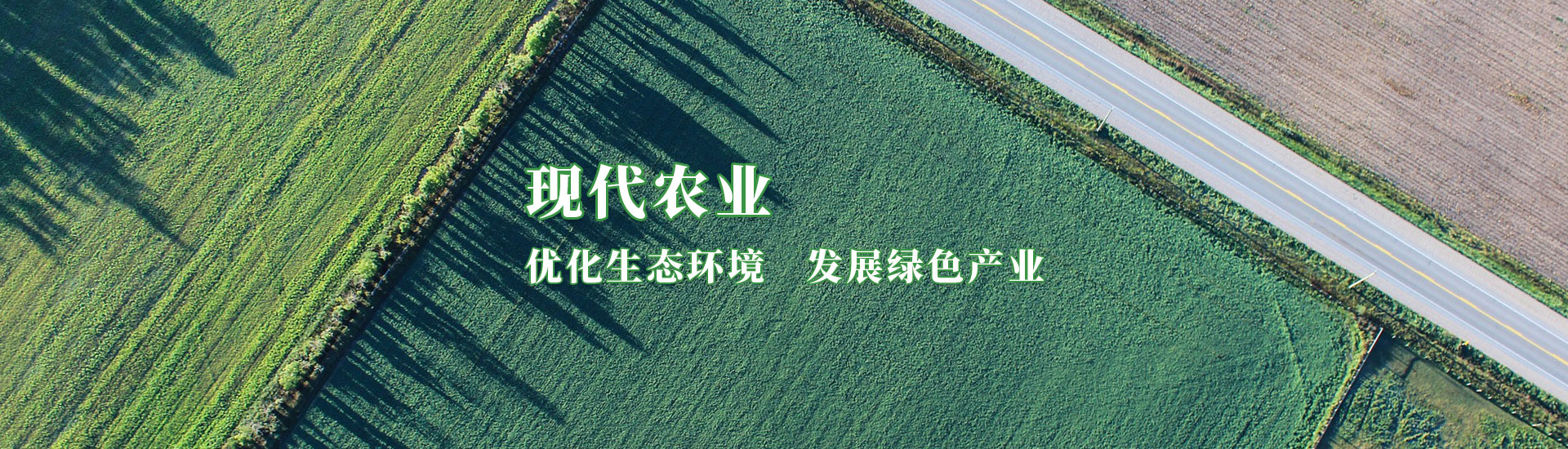 中国·5657威尼斯(股份)有限公司-官方网站