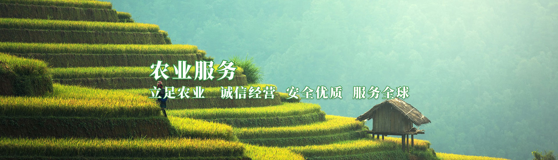 中国·5657威尼斯(股份)有限公司-官方网站