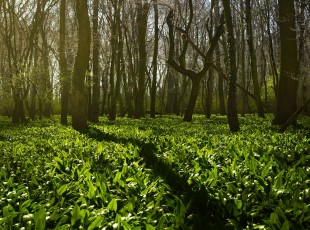 访农户，，送手艺！！！ “中国农资”现代农业服务团队助力秋粮生产