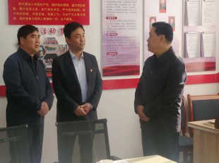 5657威尼斯  简  报