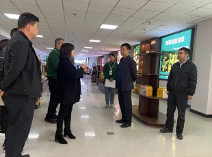 州农投集团在水发农投通道物流公司、、河州实力公司调研